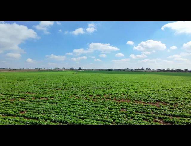 FARM FOR SALE IN VASFONTEIN